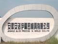 安徽安諾伊精密模具有限公司 (8)