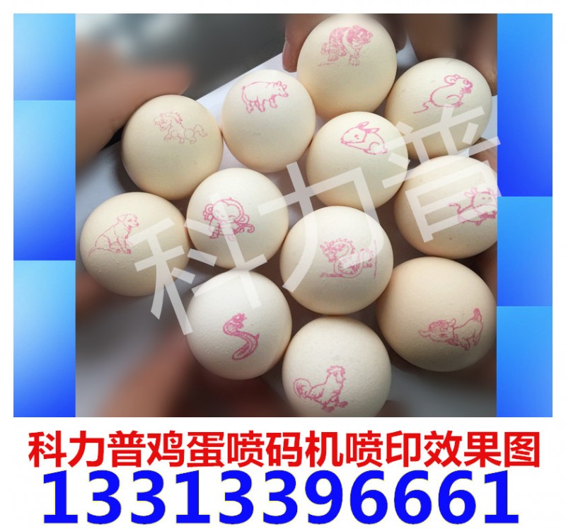 雞蛋上噴字的機(jī)器-科力普雞蛋噴碼機(jī)13313396661